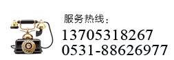 订购济南正泰电器热线:13705318267